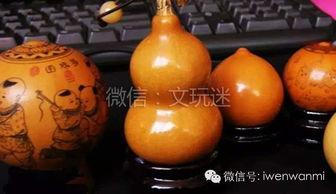今日头条葫芦瓜,揭秘今日头条的神秘瓜果