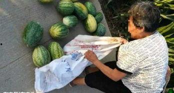 蚌埠近期热门吃瓜事件,揭秘近期热门吃瓜事件背后的真相
