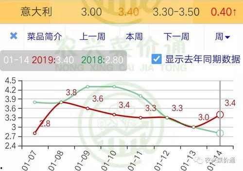 小瓜行情今日行情,今日市场动态一览”