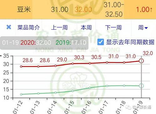 小瓜行情今日行情,今日市场动态一览”