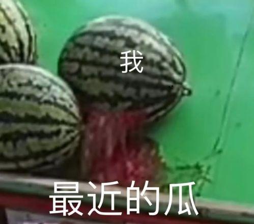 今日份吃瓜在线,热点事件大盘点