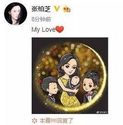 动画看娱乐圈吃瓜,跟随动画镜头，揭秘幕后吃瓜大事件