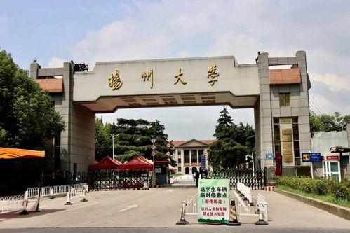长清大学热门大瓜,揭秘校园热门大瓜背后的真相