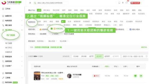 飞瓜数据多少容易热门,飞瓜数据助力内容创作者轻松捕捉热门趋势