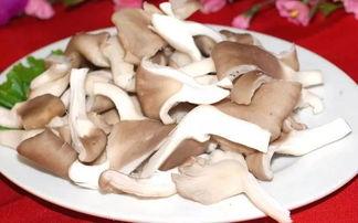 吃瓜网爆料黑料蘑菇,蘑菇事件真相揭秘