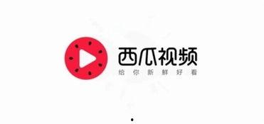 今日头条瓜总,揭秘娱乐圈幕后风云