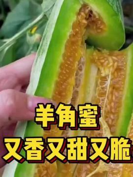 今日头条小红瓜,揭秘今日头条热门话题背后的故事
