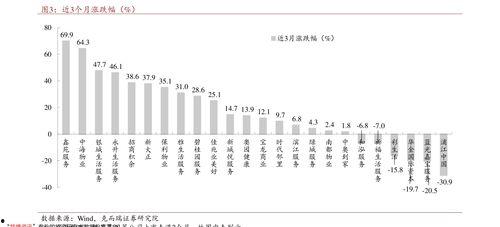 瓜尔胶今日价格,市场动态解析”