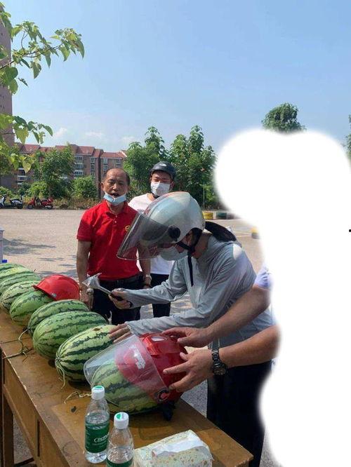 乐亭吃瓜最新事件爆料,最新爆料揭秘幕后真相