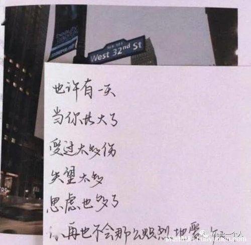 偷瓜的热门文案短句,热门文案短句背后的欢乐瞬间