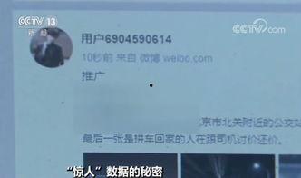 明星网红身份信息数据,揭秘娱乐圈真实面貌