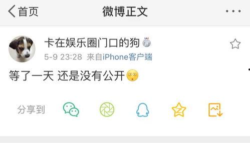 5.1今日吃瓜热门爆料,热门爆料盘点，揭秘娱乐圈最新动态