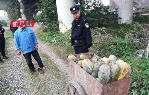 林州热门吃瓜事件视频,视频揭秘当地热门话题背后的真相