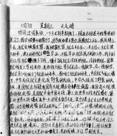 学生崇拜明星网红作文,学生心中的明星网红崇拜现象解析”