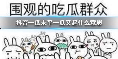 抖音吃瓜热门事,揭秘网络热点背后的真相