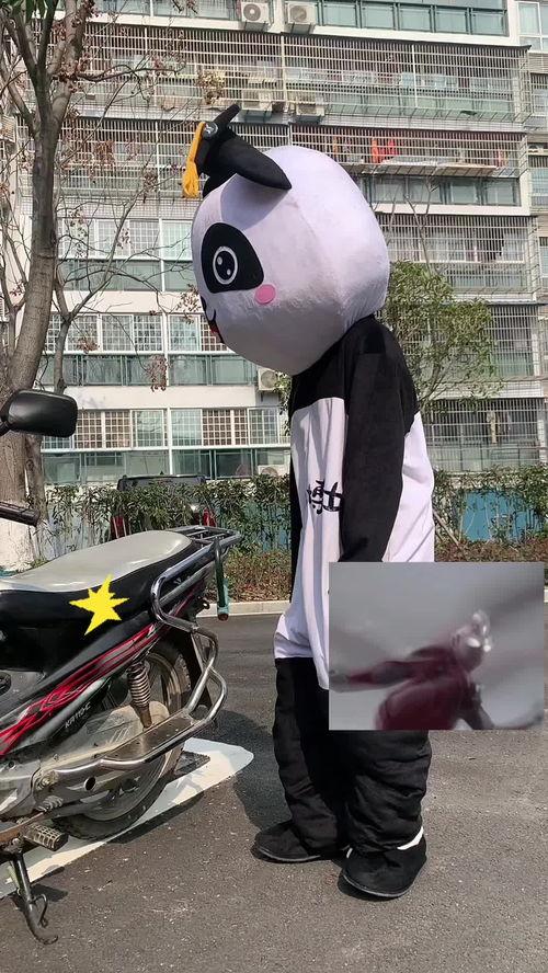 童瓜抖音热门bgm,童瓜音乐之旅，带你领略青春旋律