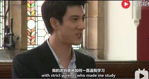 热门大瓜王力宏,从音乐巨星到情感风波，揭秘他的蜕变与争议