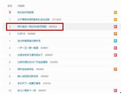 明星网红的税收征管,政策解析与合规指南