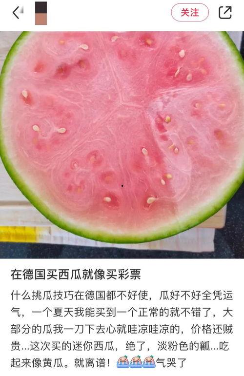 14今日吃瓜在线,揭秘娱乐圈最新热点事件