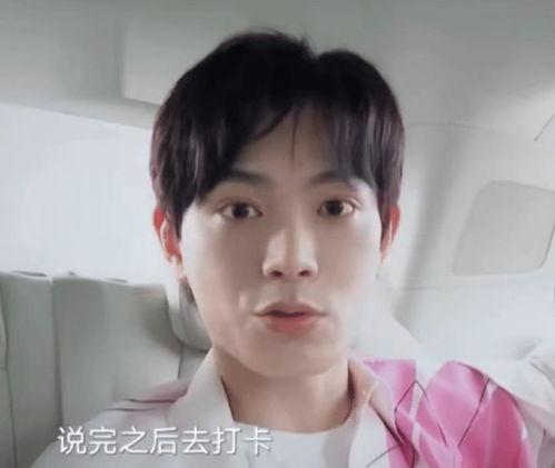 路人明星网红有哪些,揭秘路人明星与网红的跨界魅力