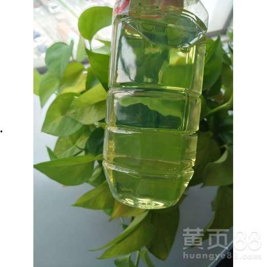 湛江水瓜今日行情,丰收喜人，价格稳定