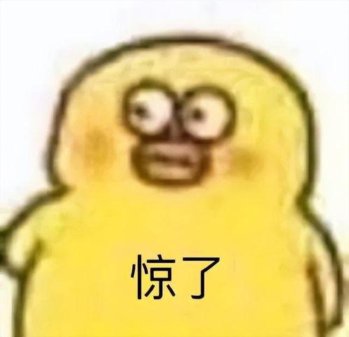 抖音热门大瓜情侣,揭秘网红情侣背后的秘密与争议