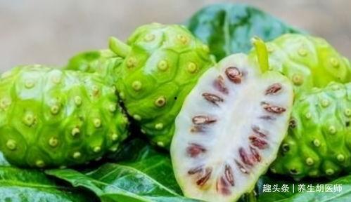 511黑瓜吃料网,美食探索者的天堂