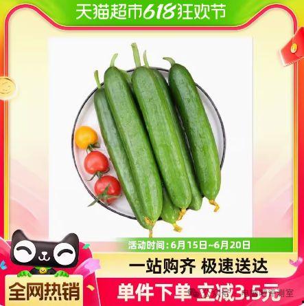 小嫩瓜今日价格,新鲜上市，抢购正当时！