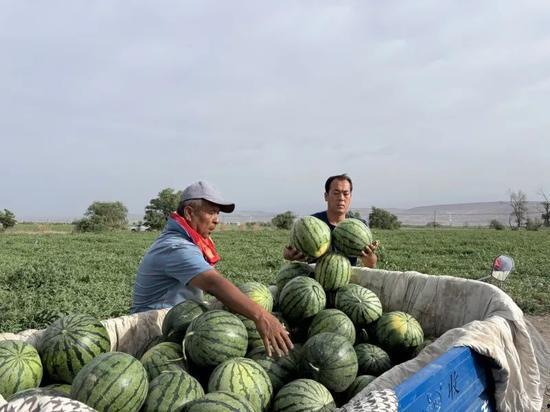 近几年热门吃瓜事件,2023年度十大热门吃瓜事件大盘点