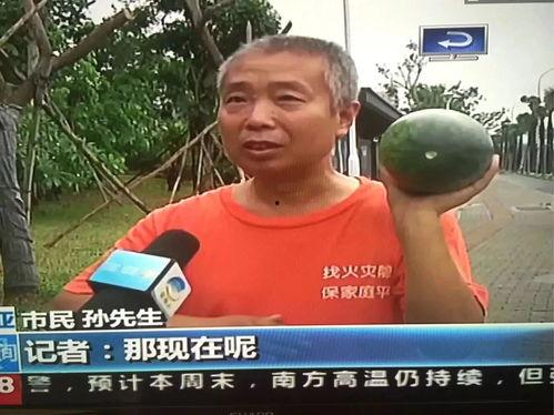 近几年热门吃瓜事件,2023年度十大热门吃瓜事件大盘点