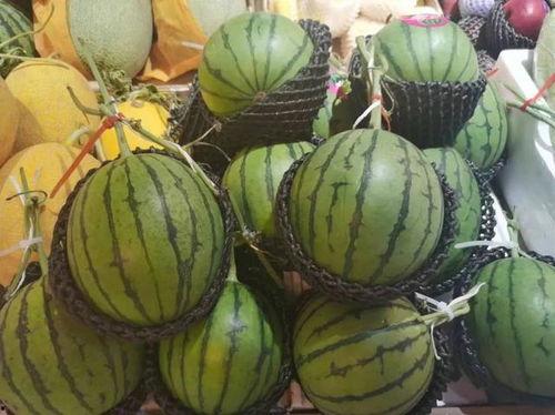 近几年热门吃瓜事件,2023年度十大热门吃瓜事件大盘点