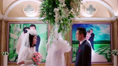 女人结婚明星网红唱歌,网红献唱，一场星光熠熠的浪漫盛典”