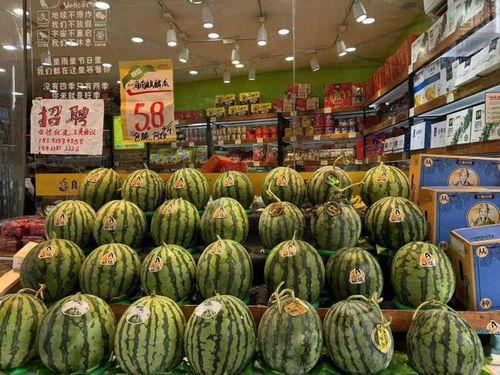 襄阳今日麒麟瓜批发,夏日鲜甜新宠，供应旺盛