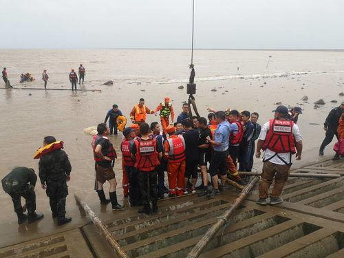 今日瓜头鲸现状