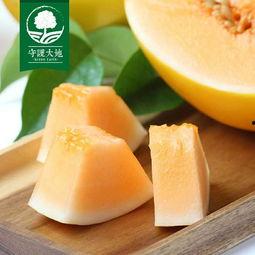 今日沙洲蜜瓜价格,价格走俏，甜蜜上市！