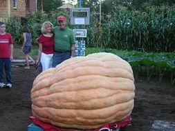 丽水今日大瓜事件,揭秘事件背后真相