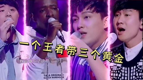 明星网红合唱 惊艳全场,网红明星合唱惊艳全场，引爆现场高潮