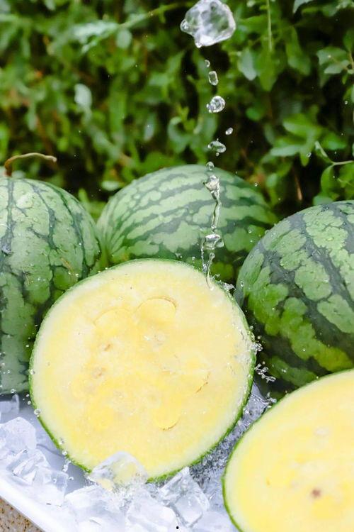 黑瓜吃料网爆瓜最新白鹿,黑瓜吃料网曝惊人幕后真相