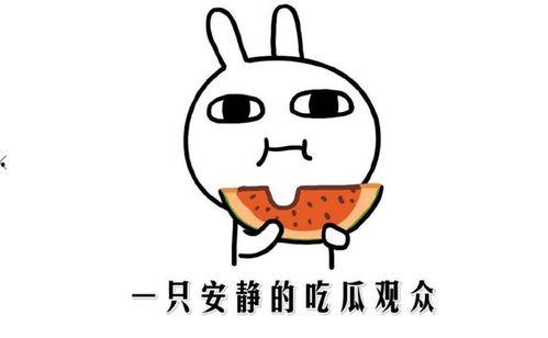 抖音热门事件吃瓜,吃瓜群众围观，揭秘网络热点背后的真相