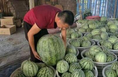 邵阳近期热门吃瓜事件,揭秘近期热门吃瓜事件背后的真相