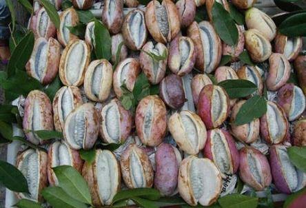 同城热门八月瓜,同城热门瓜果盛宴