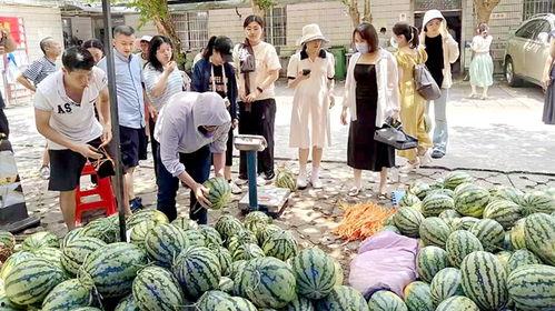 海口今日吃瓜事件,一场网络热议背后的真相揭秘