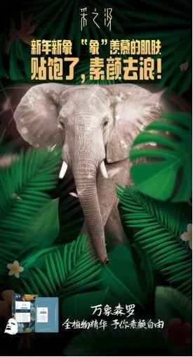 2022娱乐圈吃瓜乱象,揭秘吃瓜乱象背后的真相与反思