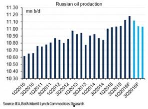 沙特瓜价格今日行情,波动中寻求平衡