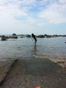 海角吃瓜黑料不打洋,黑料风波背后的真相与反思