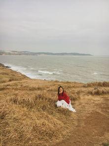 海角吃瓜黑料不打洋,黑料风波背后的真相与反思