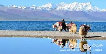 去纳木错的明星网红,明星网红打卡的神秘高原之旅