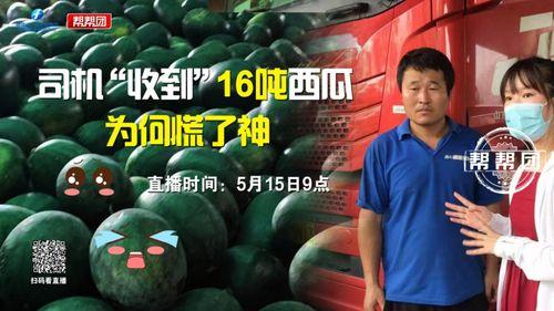 今日吃瓜播报最新,娱乐圈最新热点事件大盘点