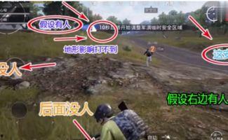 和平精英吃瓜爆料v区,吃瓜爆料，揭秘神秘势力动向