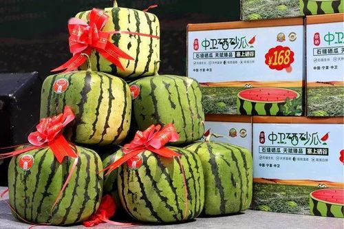 今日硒砂瓜价格,市场波动下的甜蜜行情